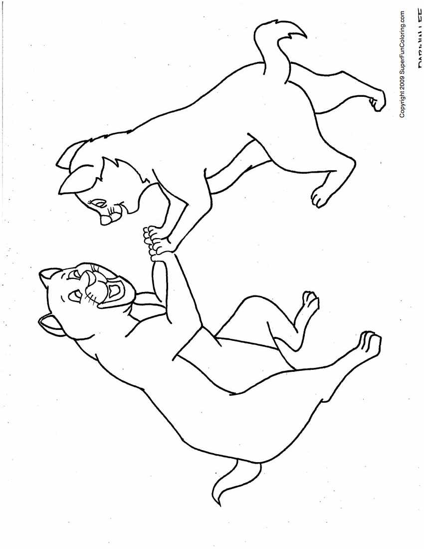 Cats 18